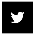 Logo twitter